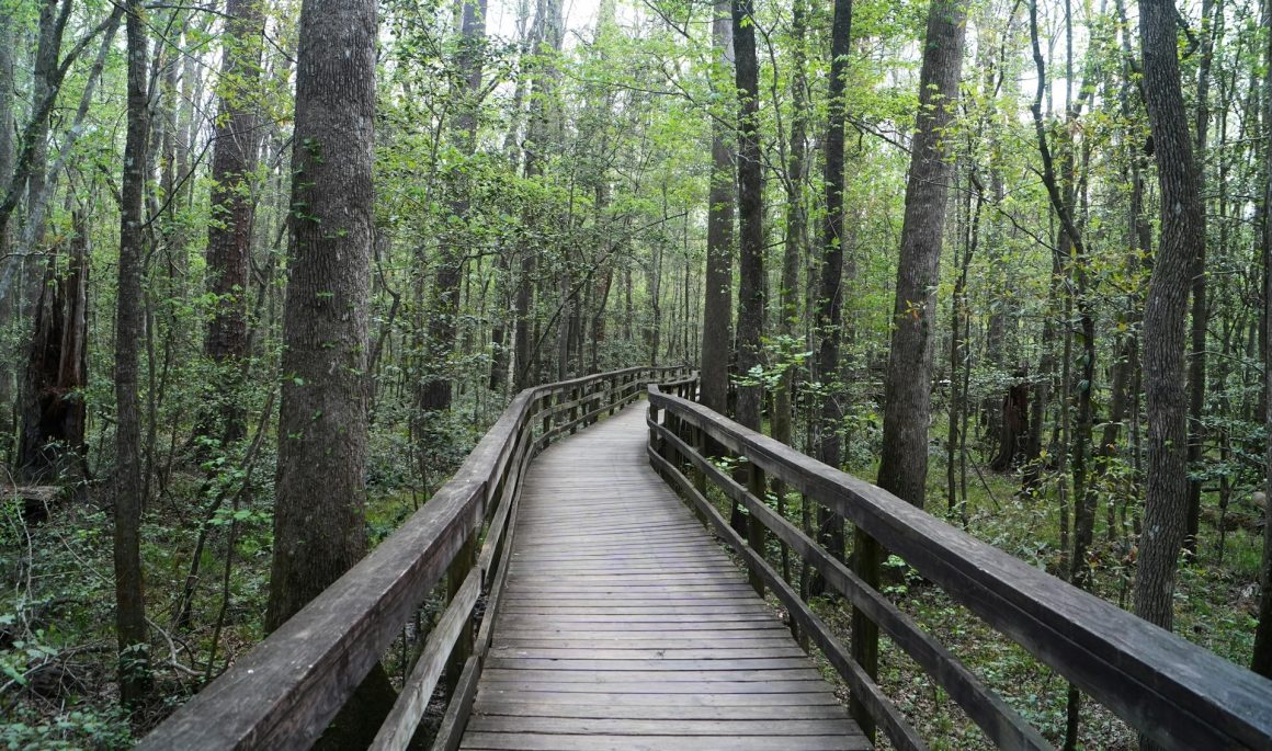 Congaree National Park