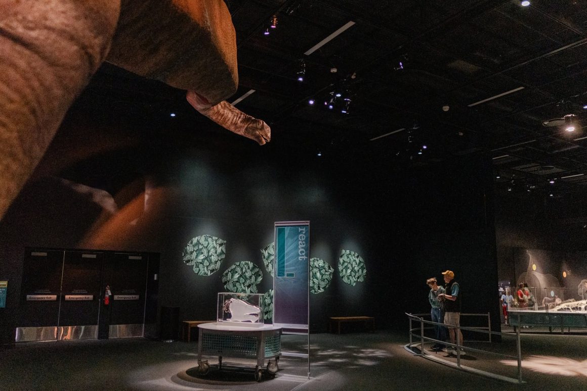 Denver Museum of Nature & Science