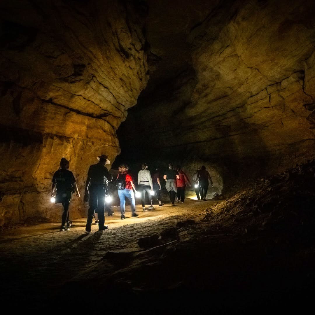 Mammoth Cave National Park