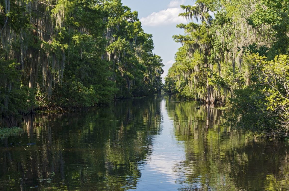 Mississippi Delta