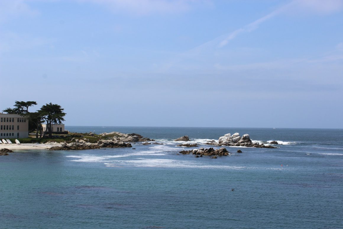 Monterey where to watch whales