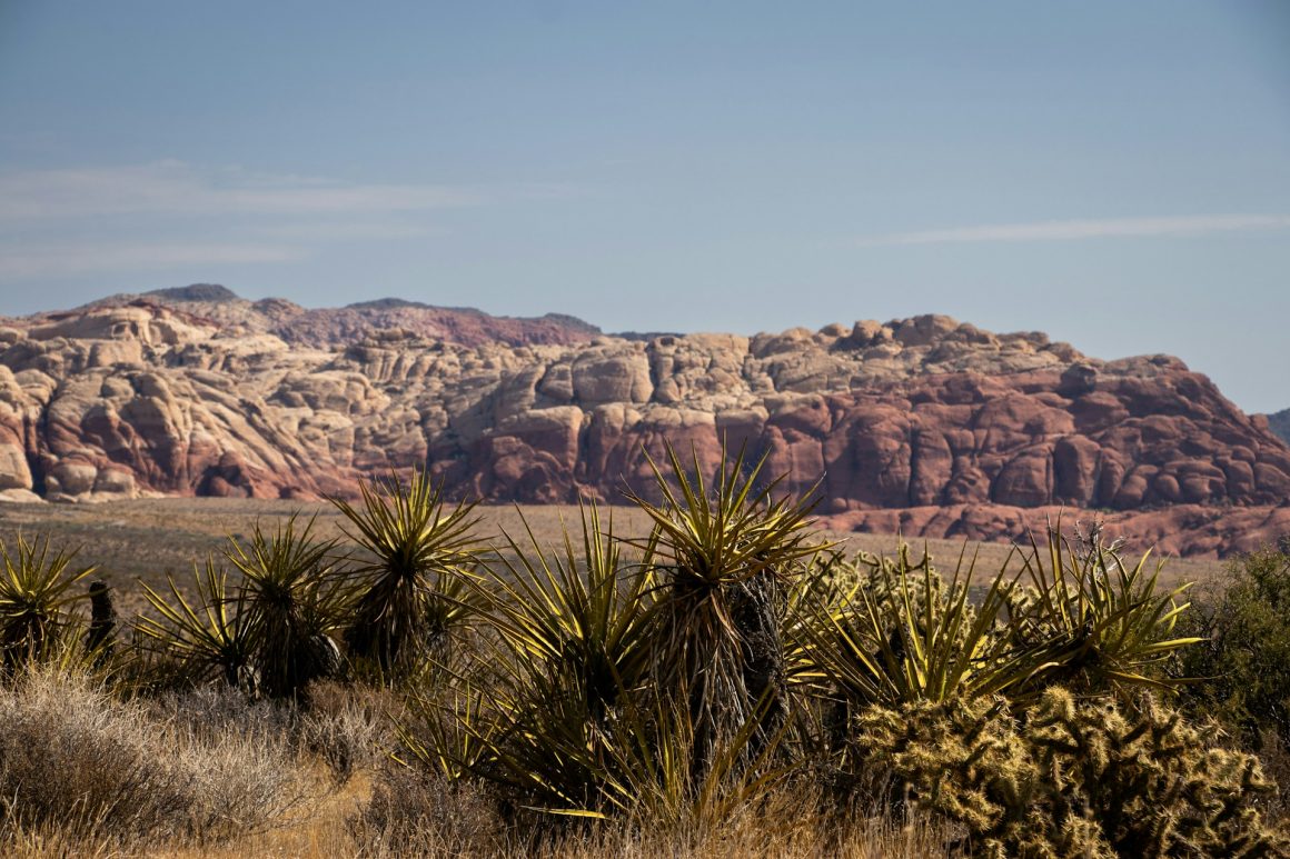 Red Rock Canyon