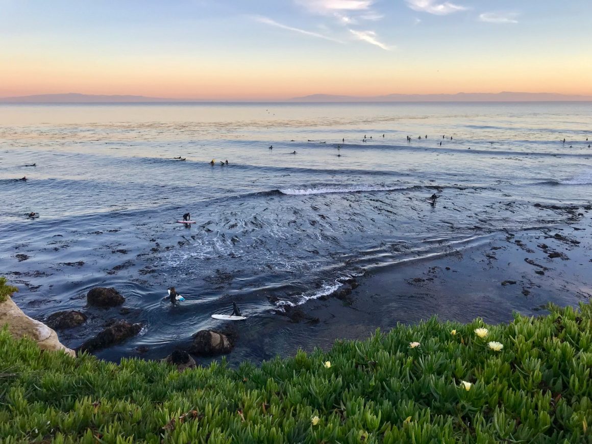 Lisa Herrick - Santa Cruz