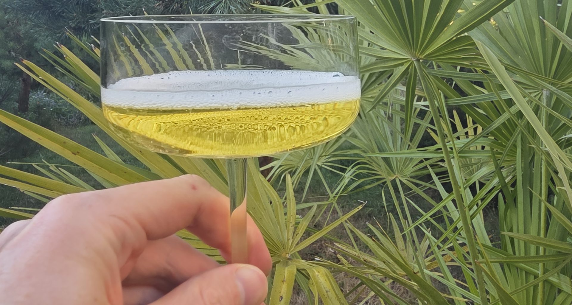 Sparkling Pineapple Wine from French Polynesia