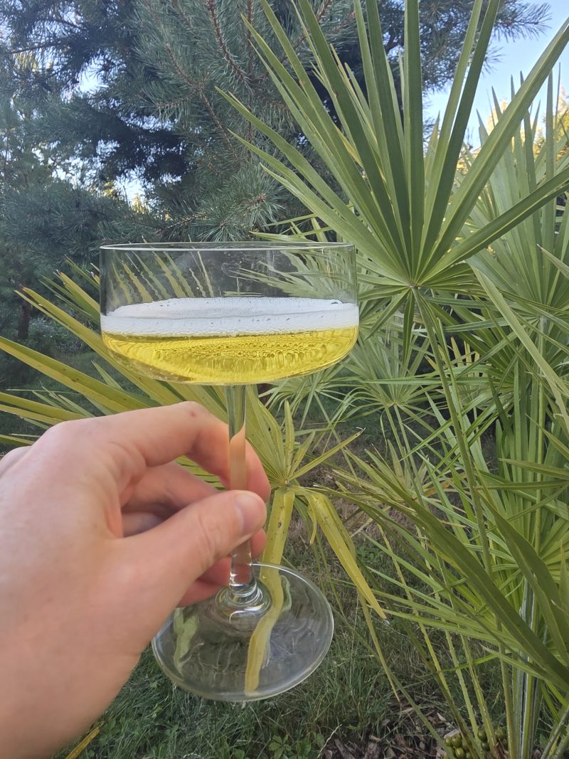Sparkling Pineapple Wine from French Polynesia