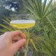 Sparkling Pineapple Wine from French Polynesia