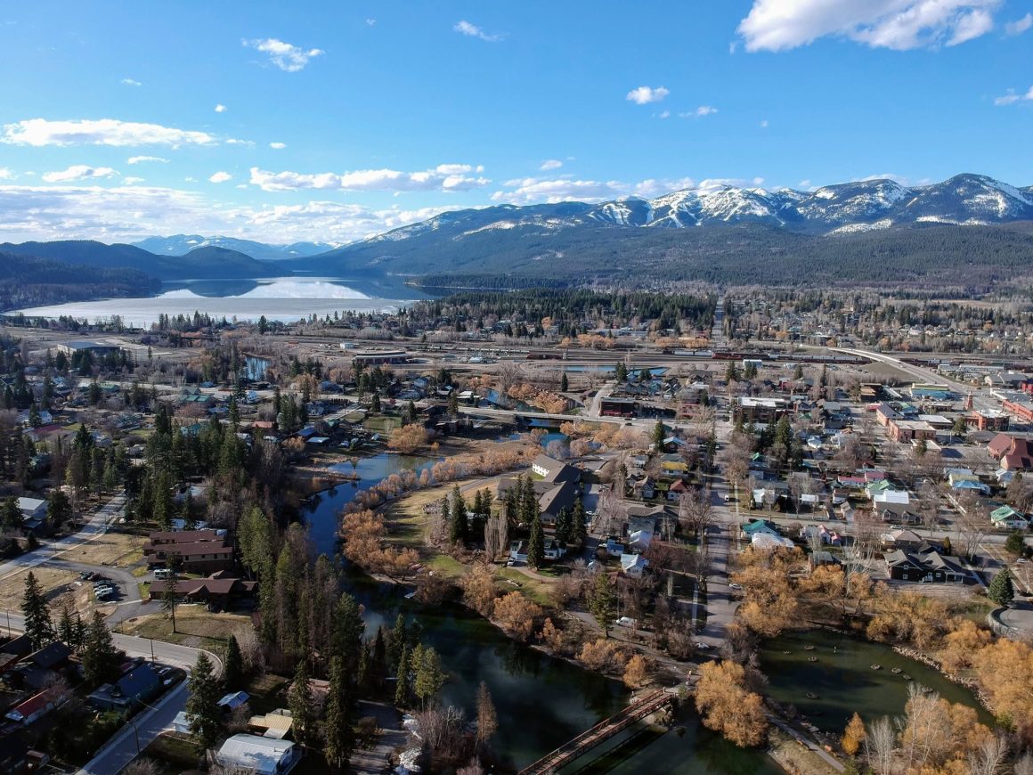 Whitefish