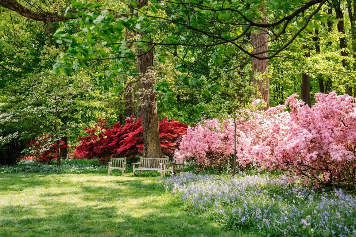 Winterthur Museum, Garden & Library