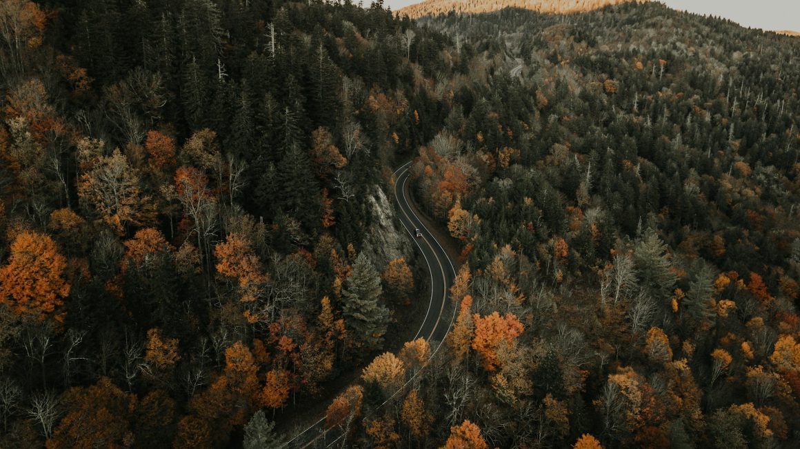 drive through the Blue Ridge Mountains