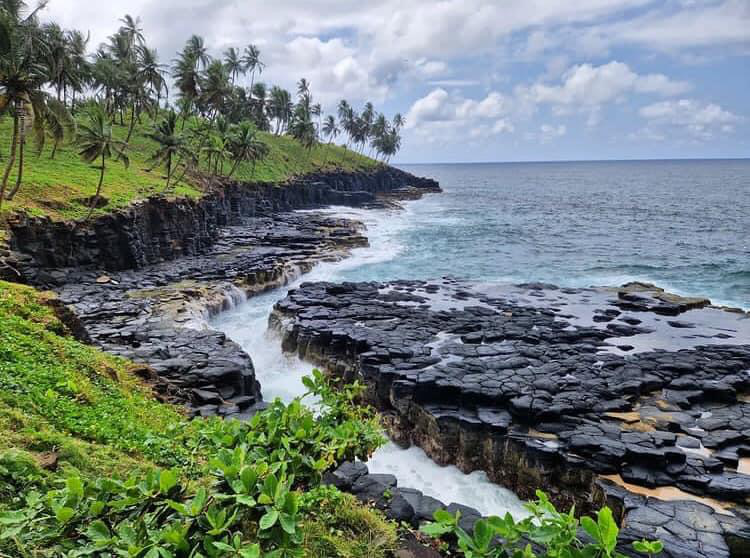 sao-tome-volcanic-coast-palm-trees
