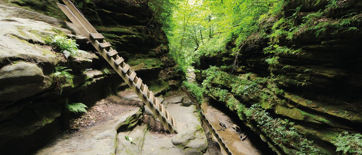 Turkey Run State Park