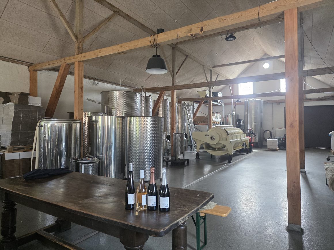 By Stokkebye winery on Funen Denmark