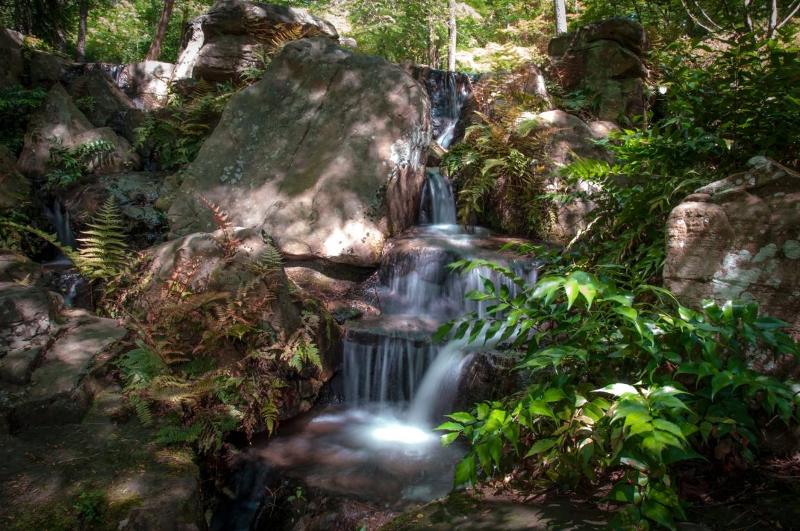 Garvan Woodland Gardens
