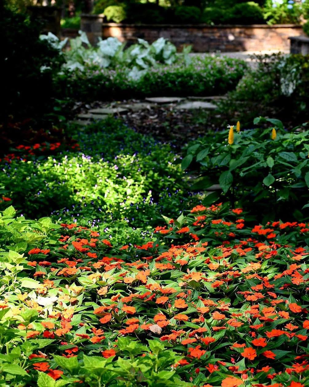 Botanical Displays at Garvan Woodland Gardens