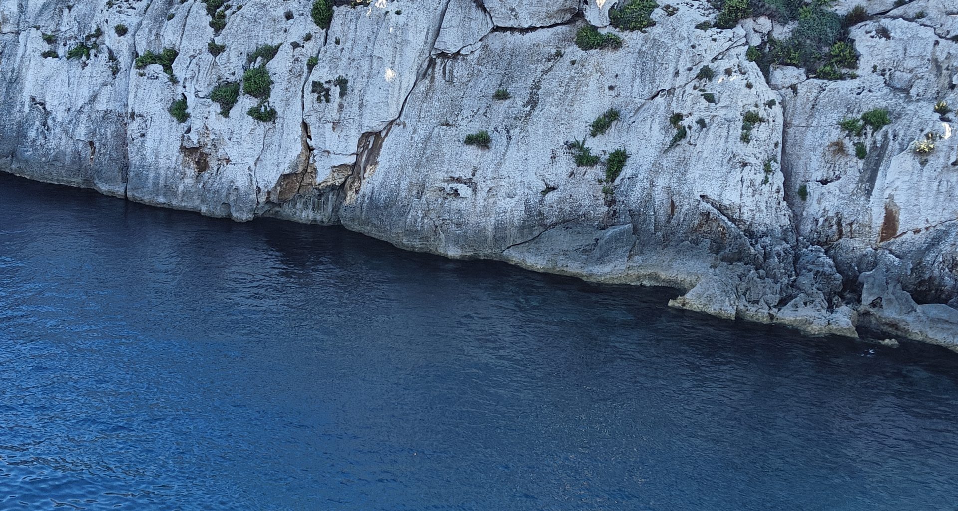Malta's local guide