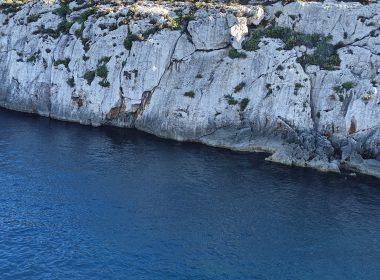 Malta's local guide