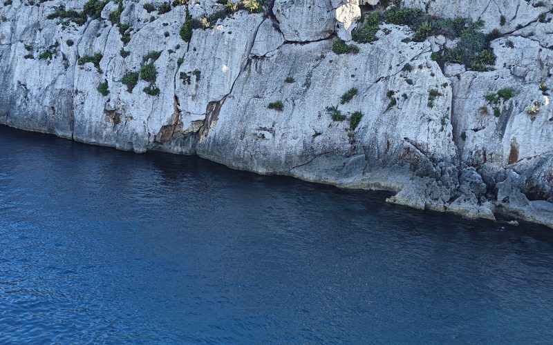 Malta's local guide