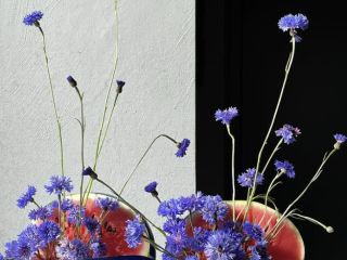 Max Languev decor flower