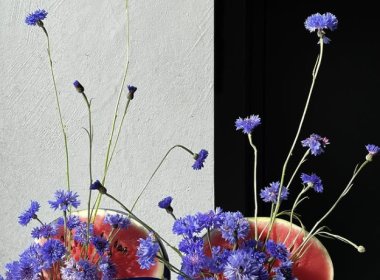 Max Languev decor flower