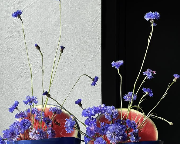 Max Languev decor flower