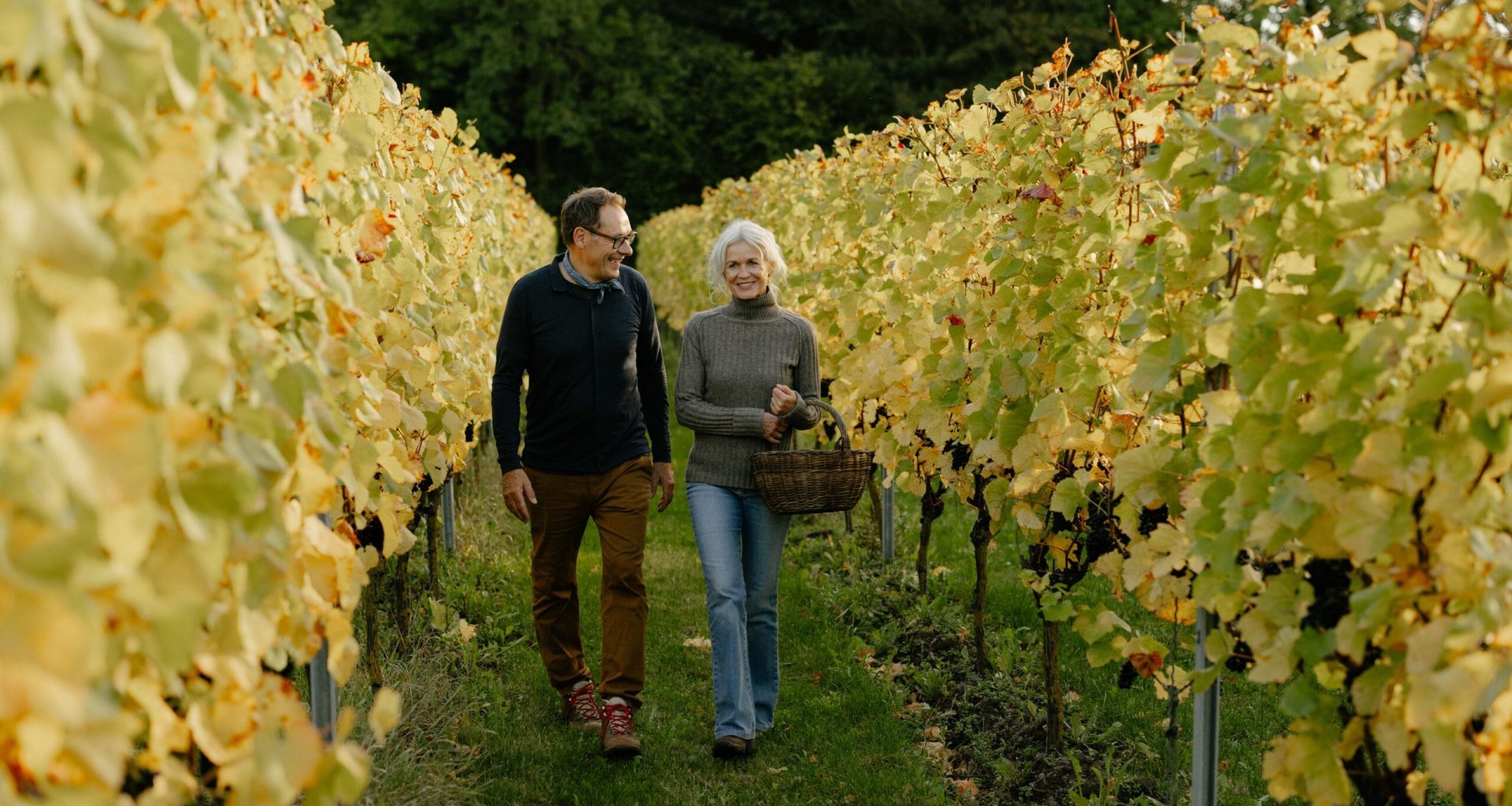 Stokkebye-family and danish wine