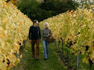 Stokkebye-family and danish wine