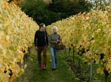 Stokkebye-family and danish wine