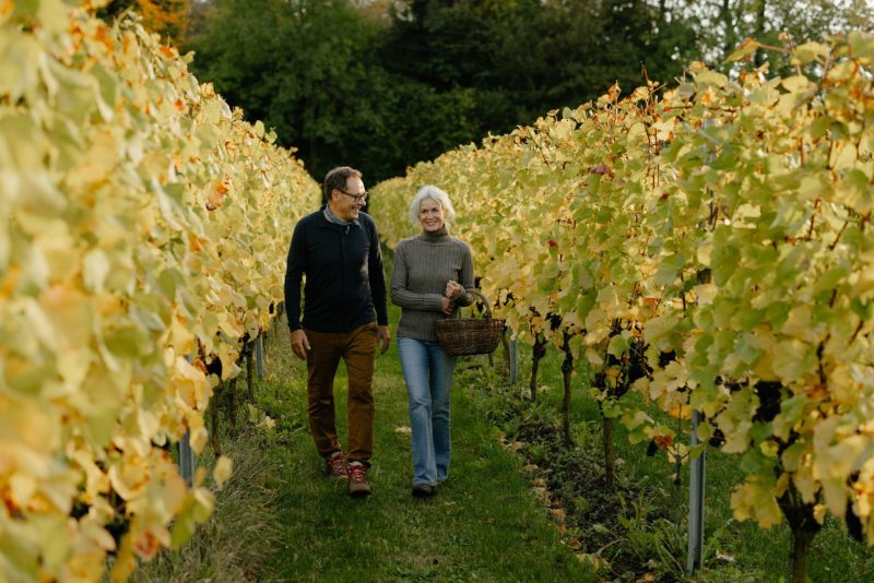 Stokkebye-family and danish wine