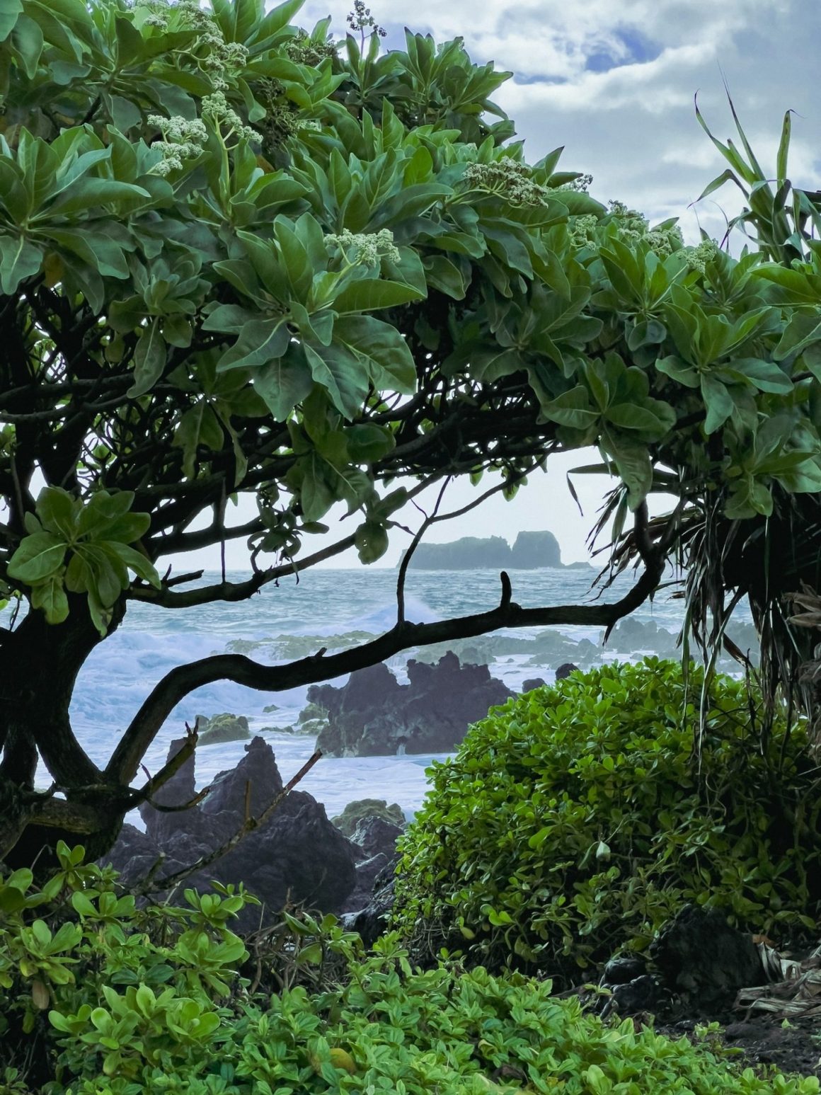 Waiʻānapanapa, Maui, Hawaii