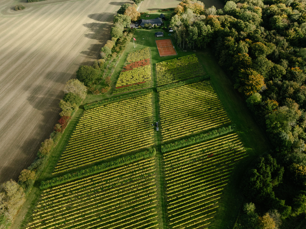 bystokkebye.com - Danish winemaking
