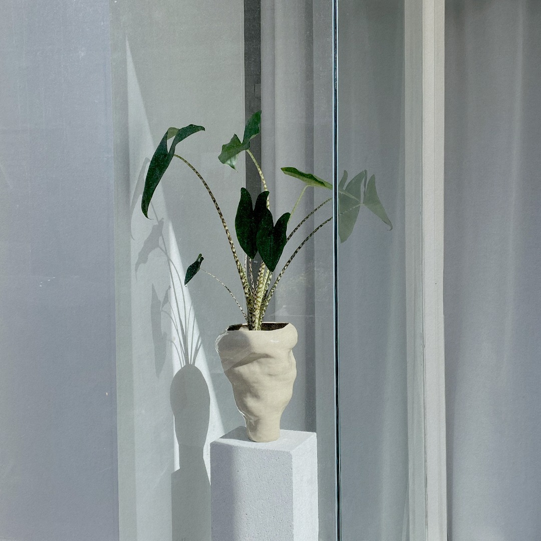 Franziska Anna Studio