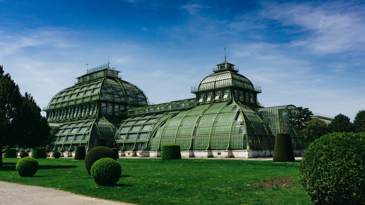 Palm House at Schönbrunn