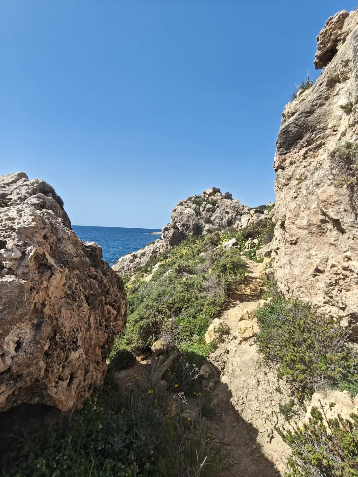 Rocky coastal walking path with wildflowers and a view of the sea in Malta