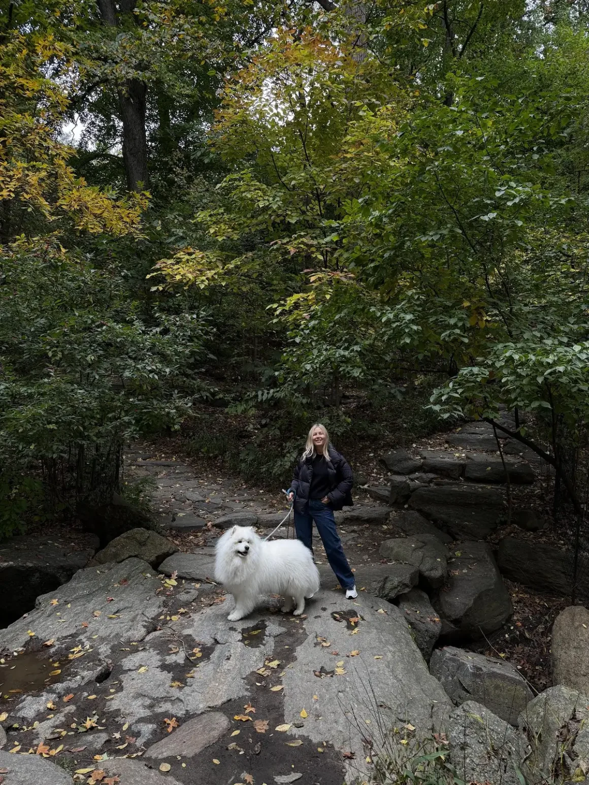 olesya-mio-autumn-woodland-walk