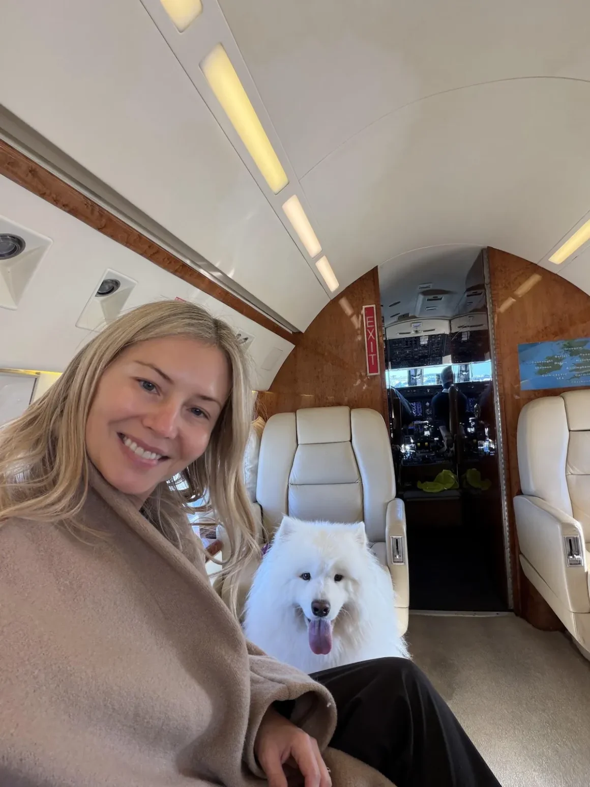 Private Jet for Pets: Dublin to New York with K9 JETS